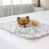 이츠독 인견 쿨링 매트 봄날의곰 M