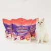아메리칸 솔루션 타이니 카사바 4.55kg x 3개